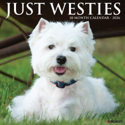 2026 Willow Creek Press Animals Monthly Wall Calendar, 12" x 12", Westies, January To December, 53133