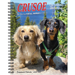 2026 Willow Creek Press Weekly Engagement Calendar, 6-1/2" x 8-1/2", Crusoe the Celebrity Dachshund, January To December, 54611