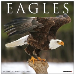 2026 Willow Creek Press Animals Monthly Wall Calendar, 12" x 12", Eagles, January To December, 51030