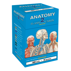 QuickStudy Flash Cards, 4" x 3-1/2", Human Anatomy 2, Pack Of 300 Cards