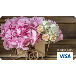 $15.00 Prepaid Visa Gift Card