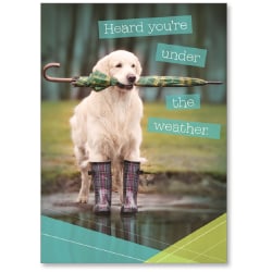 Viabella Get Well Greeting Card, Dog, 5" x 7", Multicolor