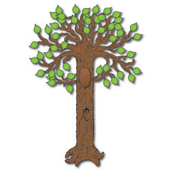 Carson-Dellosa Bulletin Board Set - Big Tree