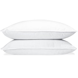 Down Dreams Classic Pillow, Natural Fill, King, White, Total Qty 1