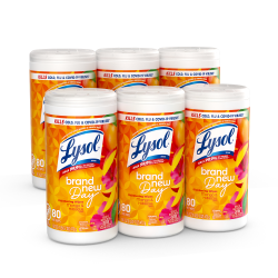 Lysol Brand New Day Disinfecting Wipes - Mango and Hibiscus Scent - 80 / Canister - 6 / Carton - White