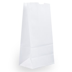 JAM Paper® Medium Kraft Lunch Bags, 9 3/4 x 5 x 3, White, Pack Of 25 Bags