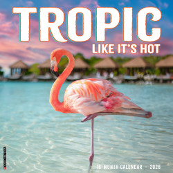 2026 Willow Creek Press Humor & Comics Monthly Wall Calendar, 12" x 12", Tropic Like It’s Hot, January To December, 56196