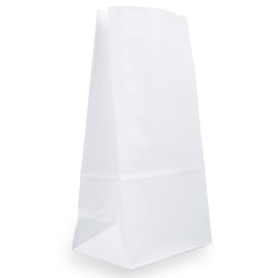 JAM Paper® Kraft Lunch Bags, Large, 11 x 6 x 3 3/4, White, Pack Of 25 Bags