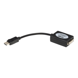 Tripp Lite 6in DisplayPort to DVI Adapter Active Converter DP to DVI M/F 6" - Video converter - DisplayPort - DVI - black