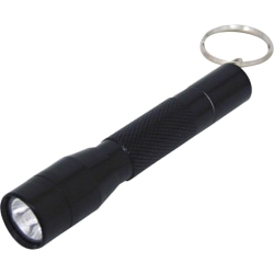 Dorcy Keychain LED Flashlight - AAA - Blue, Green, Silver, Black