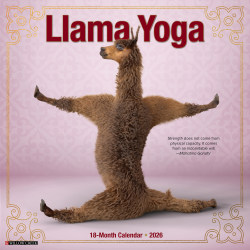 2026 Willow Creek Press Animals Monthly Wall Calendar, 12" x 12", Llama Yoga, January To December, 55489