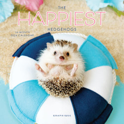 2026 Graphique Animals Monthly Mini Wall Calendar, 7" x 7", Happiest Hedgehog, January To December, MY05626