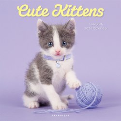 2026 Graphique Animals Monthly Wall Calendar, 12" x 12", Cute Kittens, January To December, CY97626