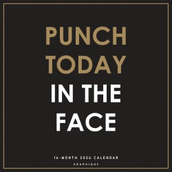2026 Graphique Inspirational Monthly Wall Calendar, Punch Today, 12" x 12", January To December, CY23226