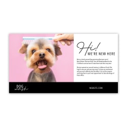 14pt, White Uncoated, Printed 1 Side Custom Full-Color Postcards, 6" x 11" , Box Of 50