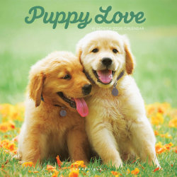 2026 Graphique Animals Monthly Wall Calendar, 12" x 12", Puppy Love, January To December, CY97226
