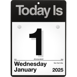 2025 AT-A-GLANCE® “Today Is" Daily Wall Calendar, 6" x 6", January To December, K100