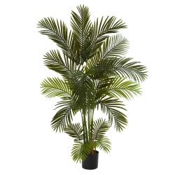 Nearly Natural Areca Palm 66"H Artificial Tree With Planter, 66"H x 30"W x 30"D, Green/Black