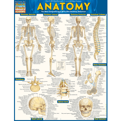 QuickStudy Guide, Anatomy 1