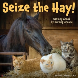 2026 Willow Creek Press Humor & Comics Monthly Wall Calendar, 12" x 12", Seize the Hay, January To December, 52730