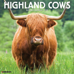 2026 Willow Creek Press Monthly Wall Calendar, 12" x 12", Highland Cows, January To December, O51474