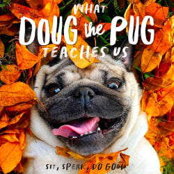 Willow Creek Press Hardcover Gift Book, 5-1/2" x 5-1/2", Doug The Pug