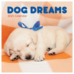 2025 TF Publishing Monthly Wall Calendar, 12" x 12", Dog Dreams, January 2025 To December 2025