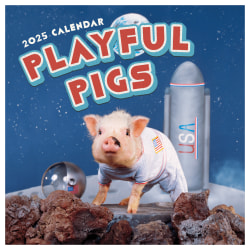 2025 TF Publishing Monthly Wall Calendar, 12" x 12", Playful Pigs, January 2025 To December 2025