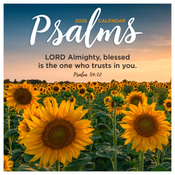 2025 TF Publishing Monthly Wall Calendar, 12" x 12", Psalms, January 2025 To December 2025