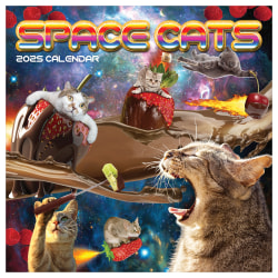 2025 TF Publishing Monthly Wall Calendar, 12" x 12", Space Cats, January 2025 To December 2025