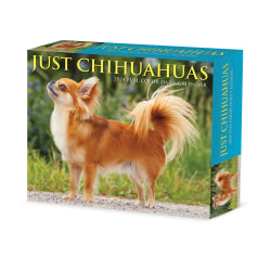 2024 Willow Creek Press Page-A-Day Daily Desk Calendar, 5" x 6", Chihuahuas, January To December