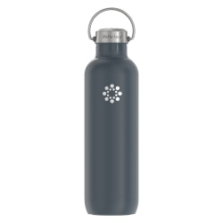 LifeFactory Stainless Steel Vacuum-Insulated Sport Bottle, 32 Oz, Carbon
