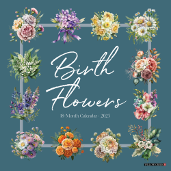 2025 Willow Creek Press Monthly Wall Calendar, 12" x 12", Birth Flowers, January To December 2025