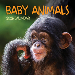 2026 TF Publishing Animals Monthly Wall Calendar, 12" x 12", Baby Animals, January To December