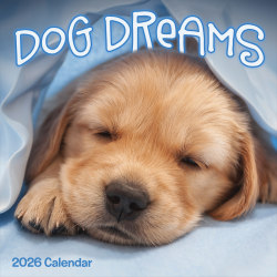 2026 TF Publishing Animals Monthly Wall Calendar, 12" x 12", Dog Dreams, January To December