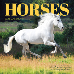 2026 TF Publishing Animals Monthly Wall Calendar, 12" x 12", Horses, January To December