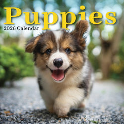2026 TF Publishing Animals Monthly Wall Calendar, 12" x 12", Puppies, January To December