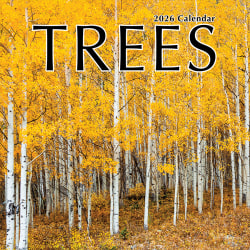 2026 TF Publishing Scenic & Nature Monthly Wall Calendar, 12" x 12", Trees, January To December