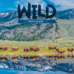 2026 TF Publishing Animals Monthly Wall Calendar, 12" x 12", Wild, January To December