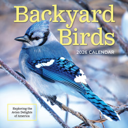 2026 TF Publishing Animals Monthly Wall Calendar, 12" x 12", Backyard Birds, January To December