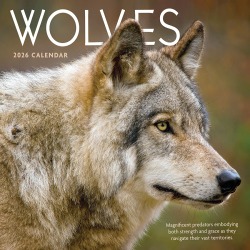 2026 TF Publishing Animals Monthly Wall Calendar, 12" x 12", Wolves, January To December