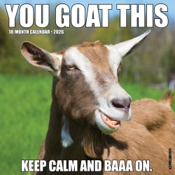 2026 Willow Creek Press Humor & Comics Monthly Wall Calendar, 12" x 12", You Goat This, January To December, 53393