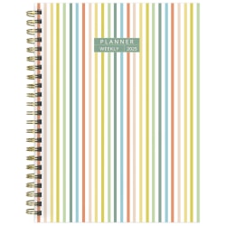 2025 TF Publishing Weekly/Monthly Planner, 6-1/2" x 8", Malibu Stripes, January To December