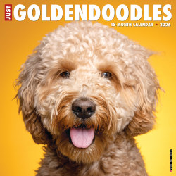 2026 Willow Creek Press Animals Monthly Wall Calendar, 12" x 12", Goldendoodles, January To December, 51313