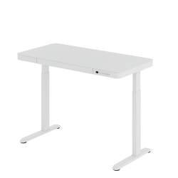 Flexispot EG9 48"W Electric Adjustable Height Standing Desk, White