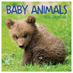 2026 TF Publishing Animals Mini Monthly Wall Calendar, 7" x 7", Baby Animals, January To December