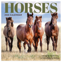 2026 TF Publishing Animals Mini Monthly Wall Calendar, 7" x 7", Horses, January To December
