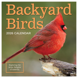 2026 TF Publishing Animals Mini Monthly Wall Calendar, 7" x 7", Backyard Birds, January To December