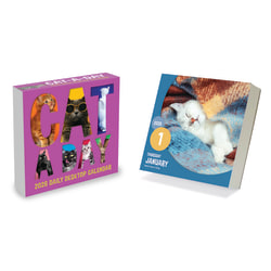 2026 TF Publishing Daily Desktop Box Calendar, 5-1/4" x 5-1/4", Cat A Day, January To December