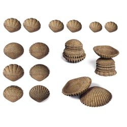 Edx Education Tactile Shells, Brown, Set Of 36 Shells